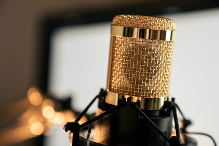 vocals singing microphone